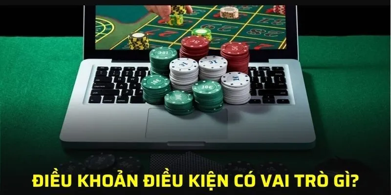 Điều khoản và điều kiện có vai trò cực quan trọng 